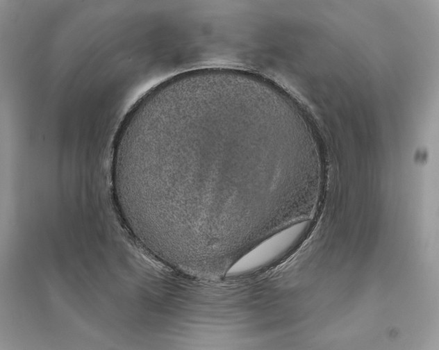 X0000094461222200711291714