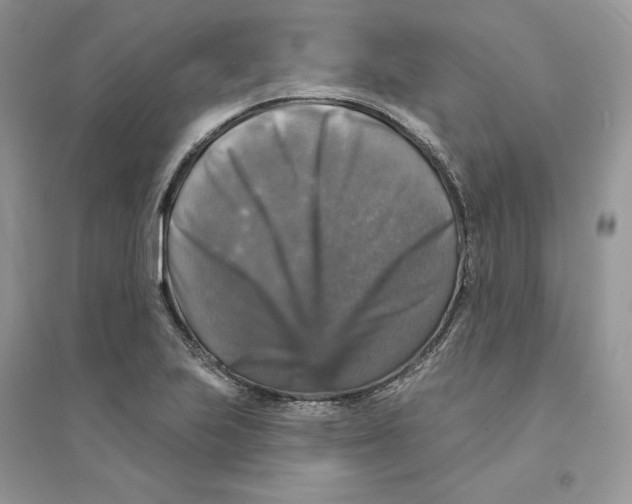 X0000094461223200711291714