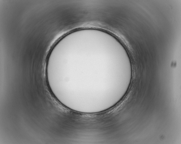 X0000094461224200711291714