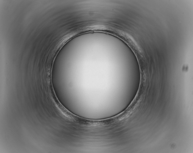 X0000094461225200711291714