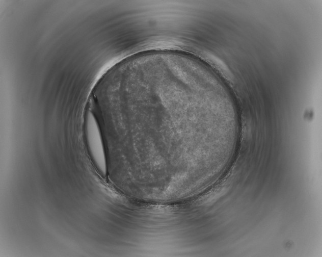 X0000094461226200711291714