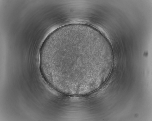 X0000094461227200711291714