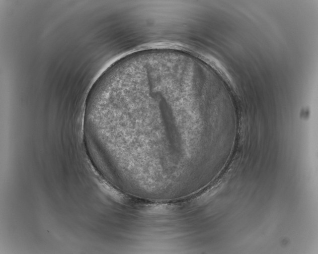 X0000094461228200711291714