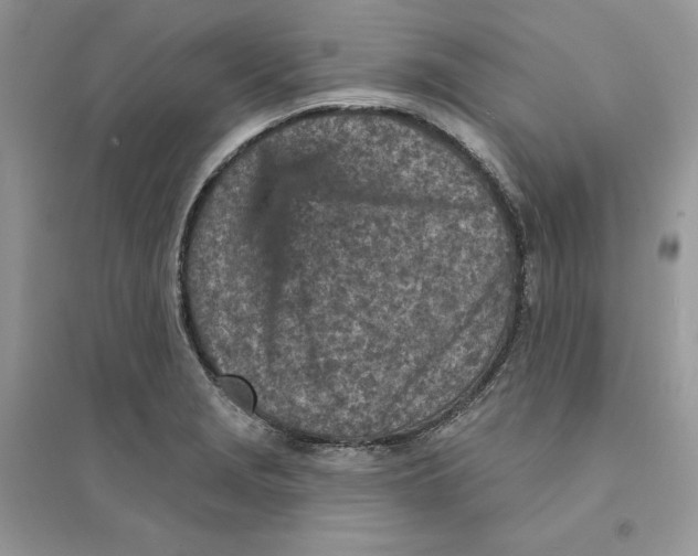 X0000094461229200711291714