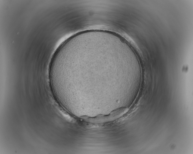 X0000094461230200711291714