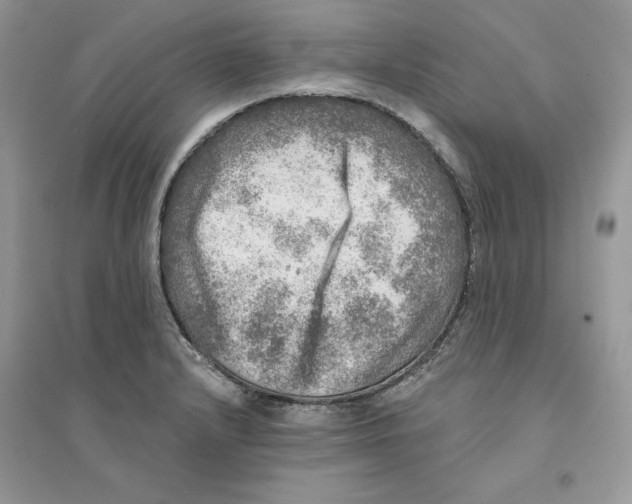 X0000094461232200711291714