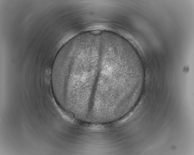 X0000094461233200711291714