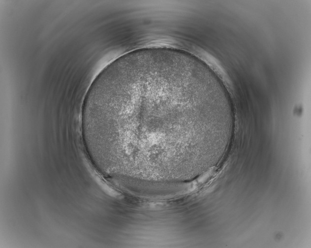 X0000094461234200711291714