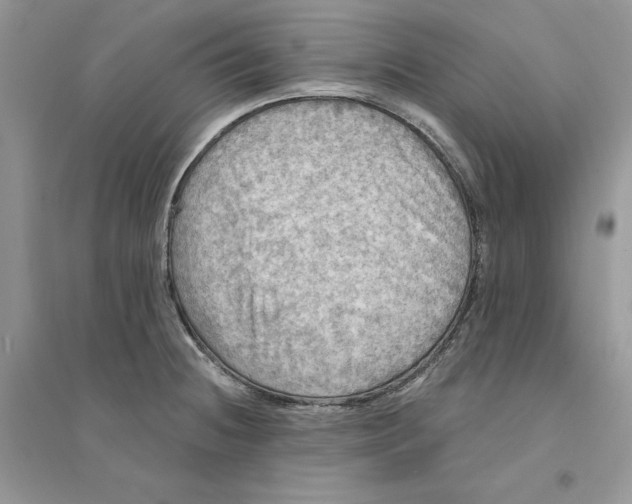 X0000094461236200711291714