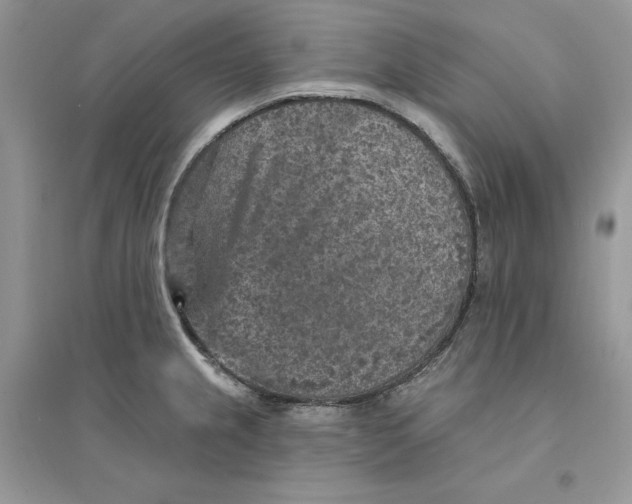 X0000094461237200711291714