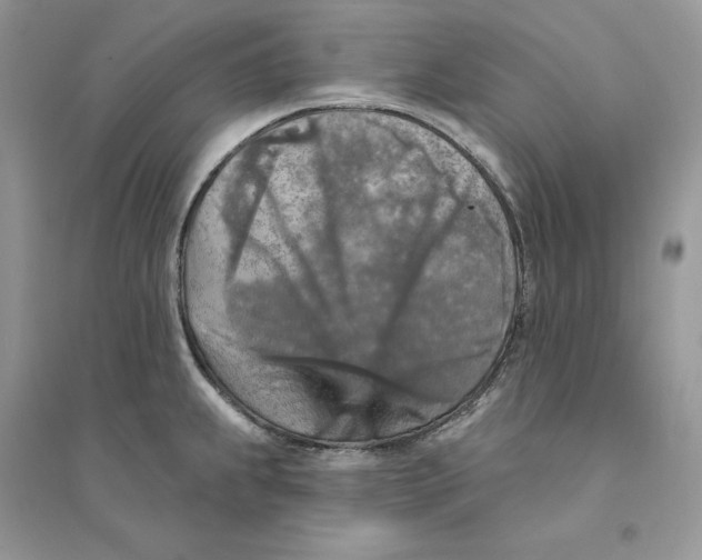 X0000094461239200711291714