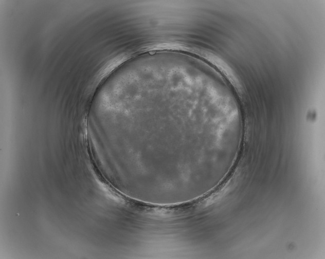 X0000094461241200711291714