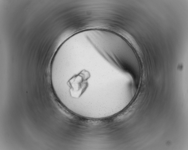 X0000094461242200711291714