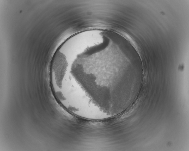 X0000094461243200711291714