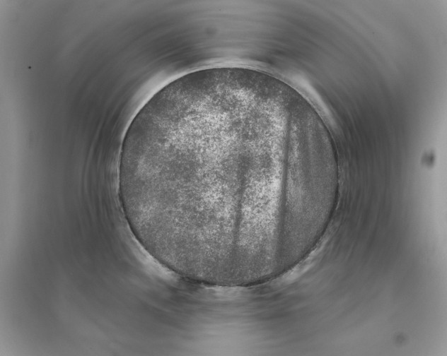 X0000094461244200711291714