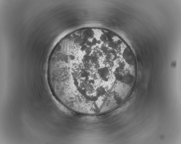 X0000094461245200711291714