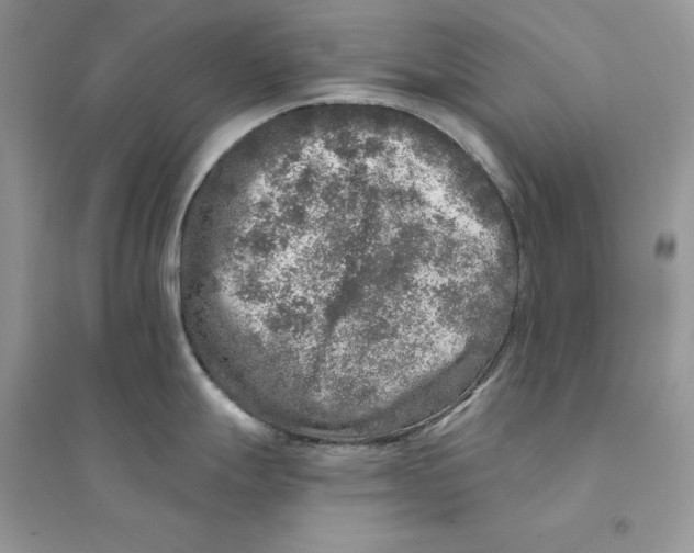 X0000094461247200711291714