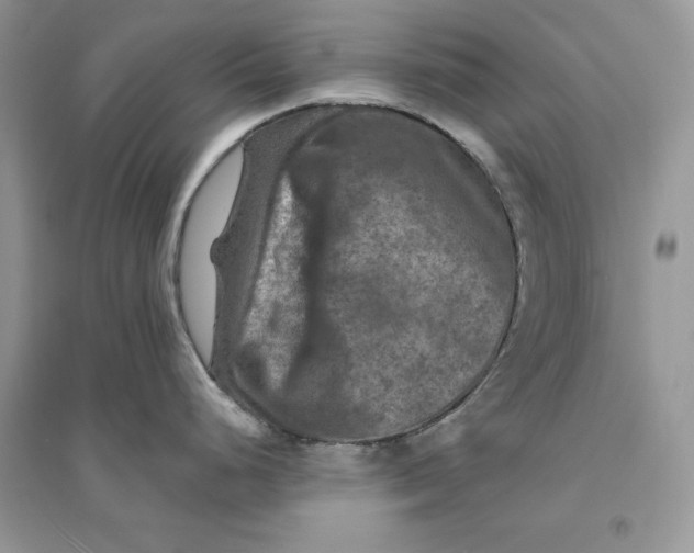 X0000094461248200711291715