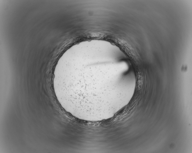 X0000094461249200711291714