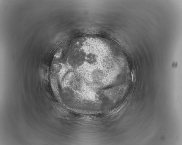 X0000094461251200711291714