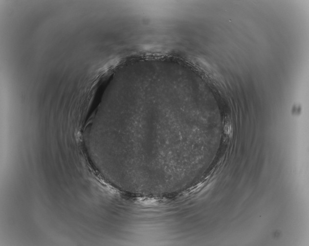 X0000094461252200711291714