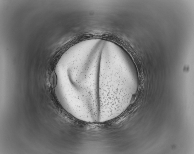 X0000094461253200711291714