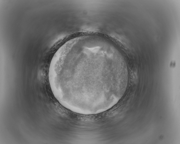 X0000094461254200711291714