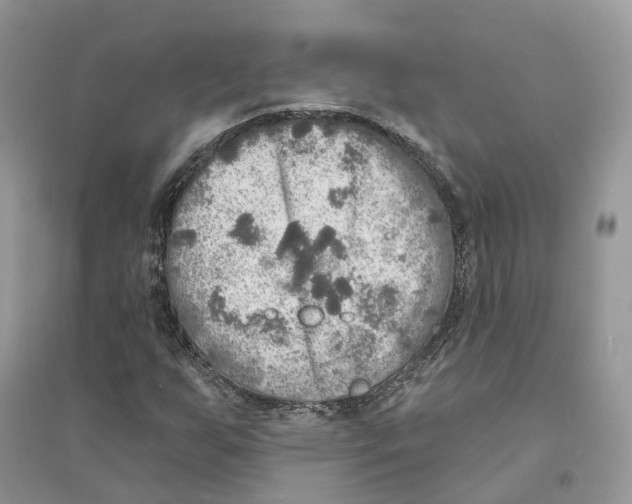 X0000094461255200711291714