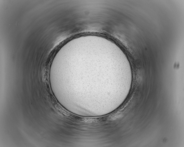 X0000094461258200711291714