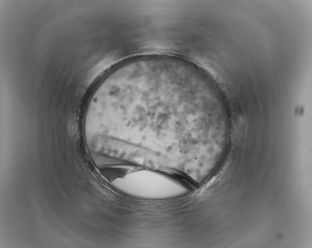 X0000094461259200711291714