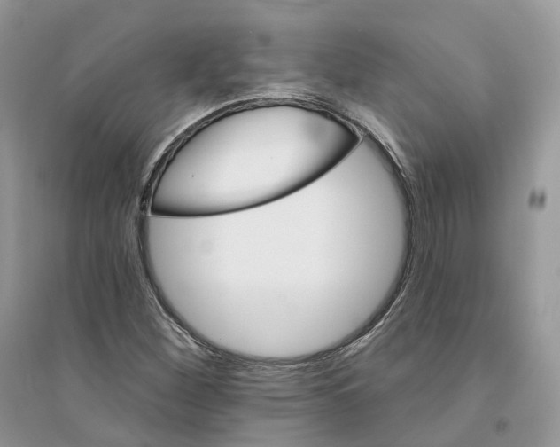 X0000094461260200711291714