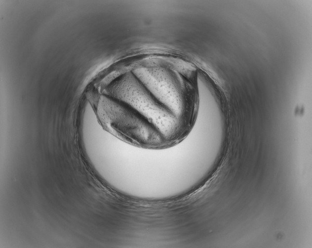 X0000094461261200711291714