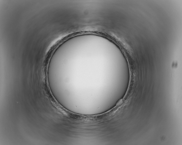 X0000094461262200711291714