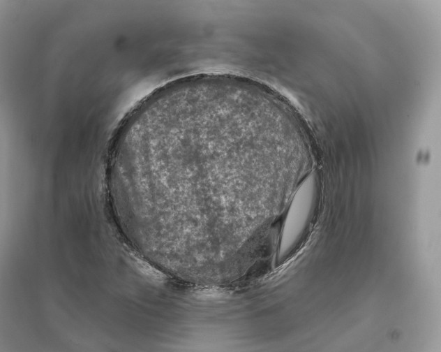 X0000094461263200711291714