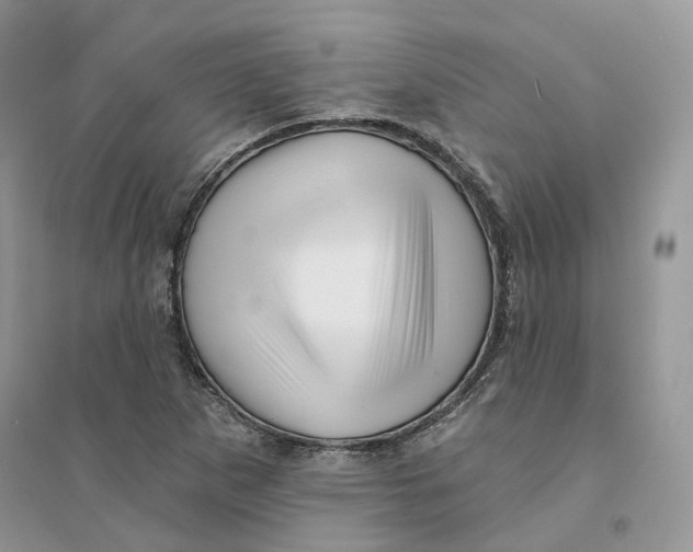 X0000094461265200711291714