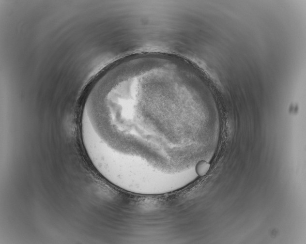 X0000094461266200711291714