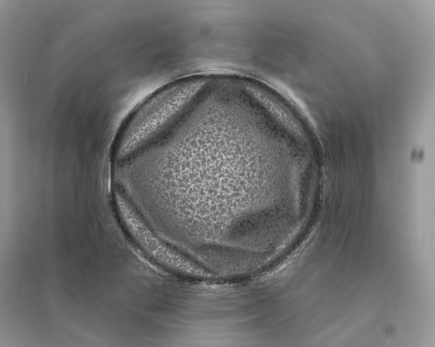 X0000094461269200711291714