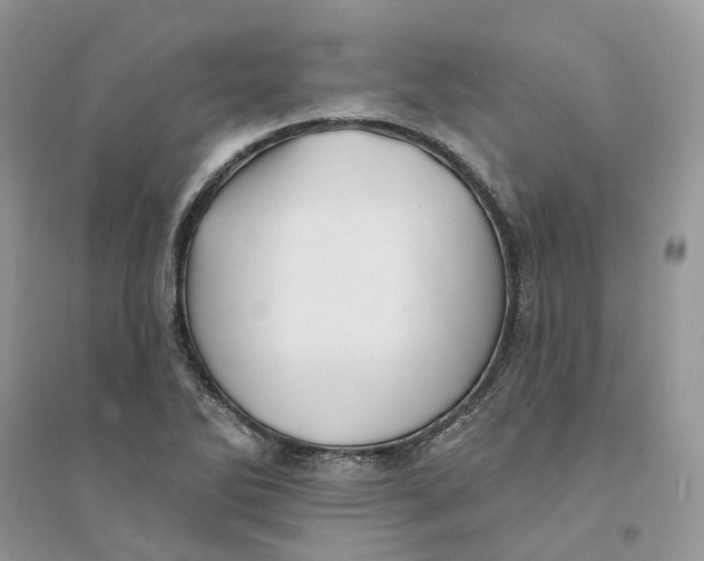 X0000094461270200711291714