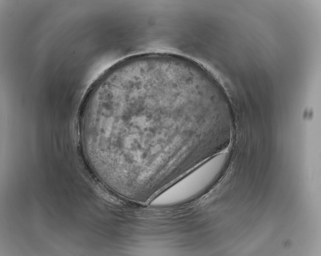 X0000094461271200711291714