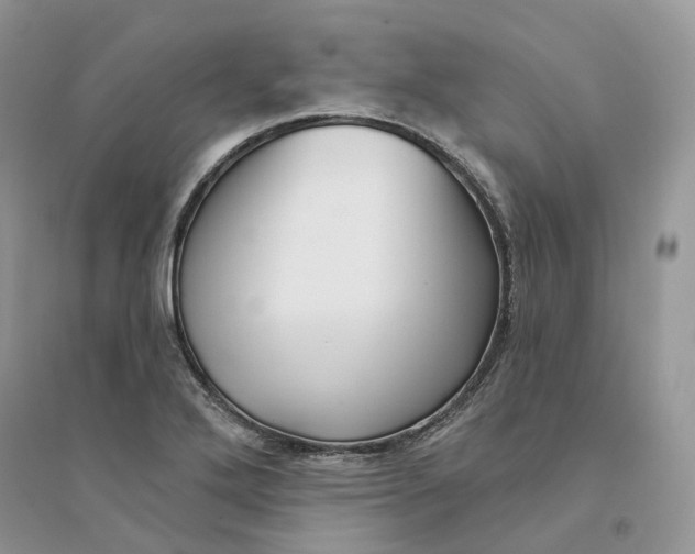 X0000094461272200711291714