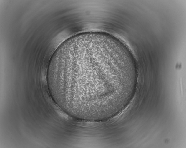 X0000094461273200711291714