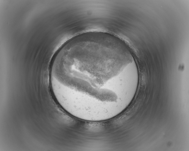 X0000094461274200711291714