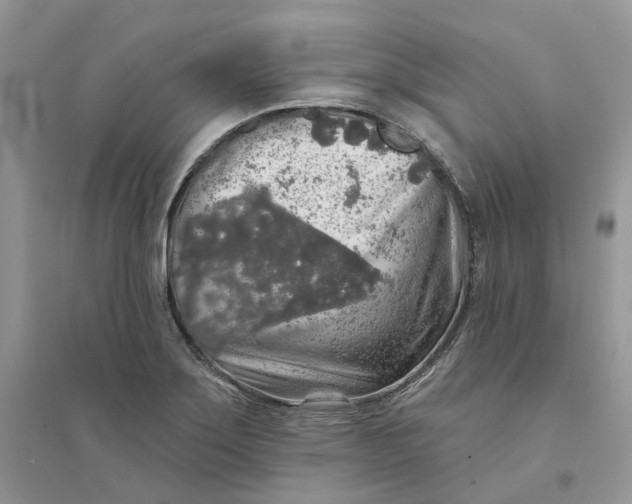 X0000094461275200711291713