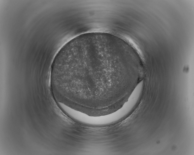 X0000094461276200711291713