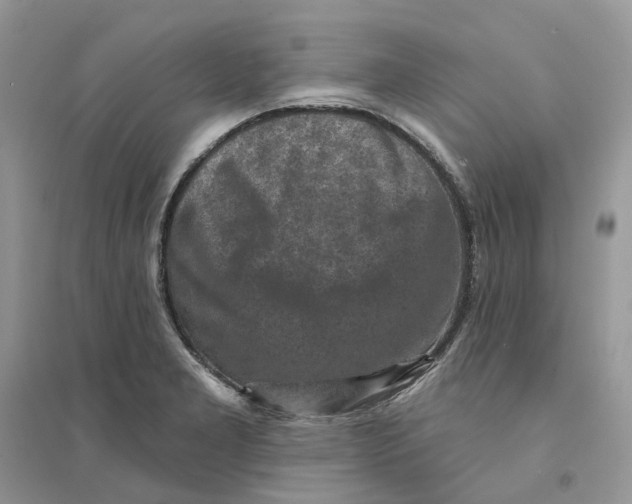 X0000094461277200711291713