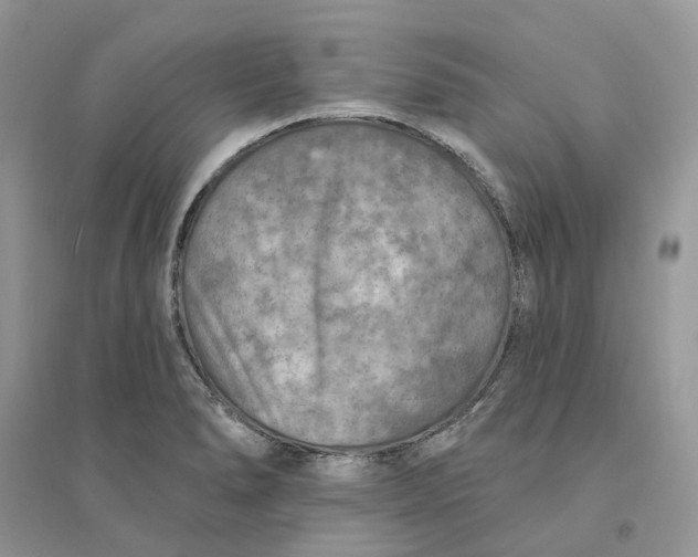 X0000094461278200711291713