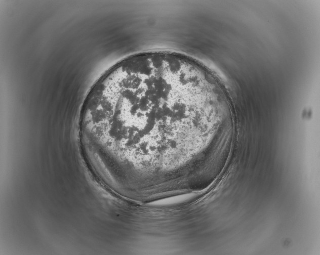 X0000094461279200711291713