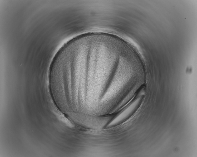 X0000094461280200711291713