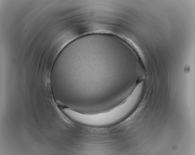 X0000094461281200711291713