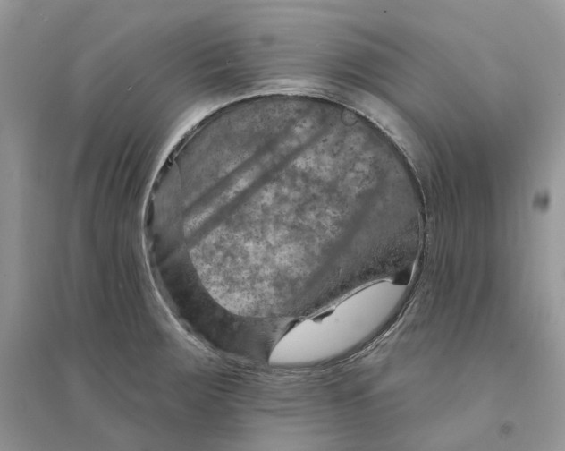 X0000094461283200711291713